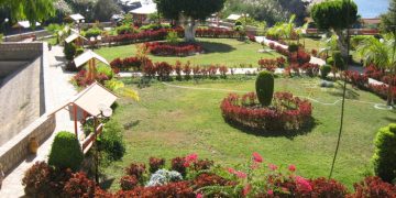 جزيرة النباتات باسوان