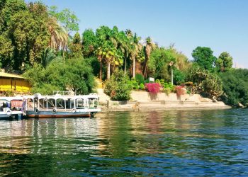 جزيرة النباتات في اسوان