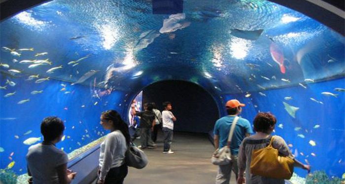 الغردقة جراند أكواريوم 2019