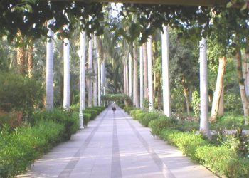 مواعيد-جزيرة-النباتات-باسوان