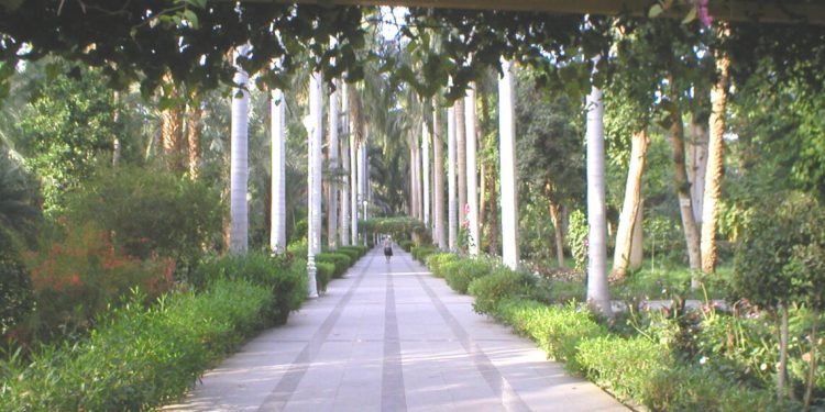 مواعيد-جزيرة-النباتات-باسوان