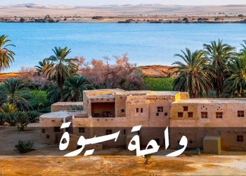 أسعار رحلات سيوة العلاجية