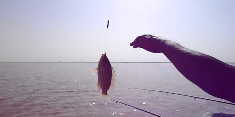 احسن أماكن الصيد في النيل