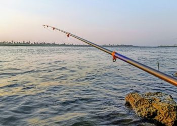 احسن أماكن الصيد في النيل