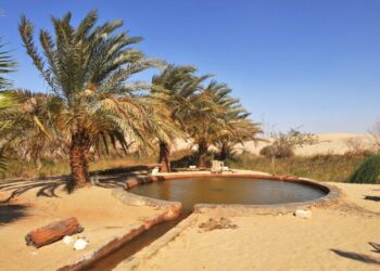 ماء عين موسى