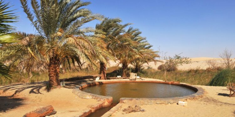 ماء عين موسى