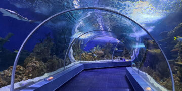 خروجات العيد في جدة